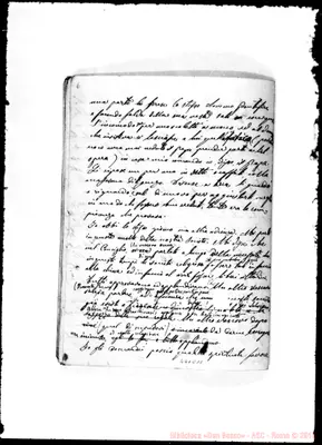 Fotogramma D 11