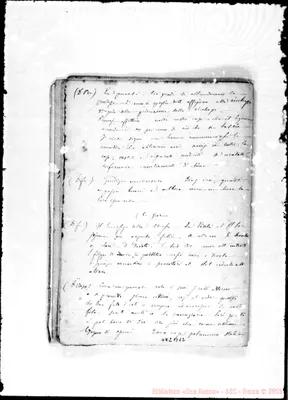 Fotogramma B 12
