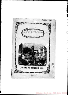 Fotogramma C 5