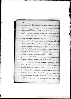 Fotogramma C 11