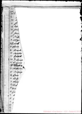 Fotogramma E 2