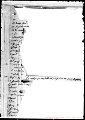 Fotogramma E 5
