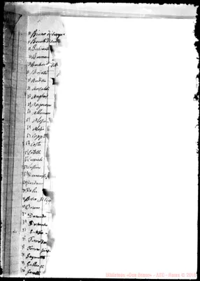 Fotogramma E 6