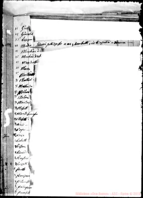 Fotogramma E 7