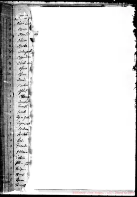 Fotogramma E 11
