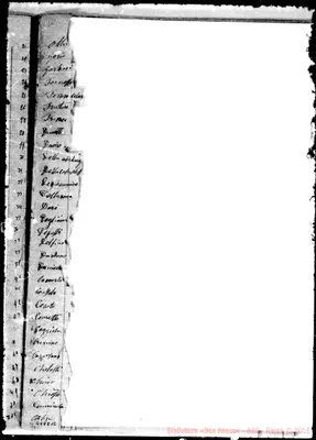 Fotogramma E 12