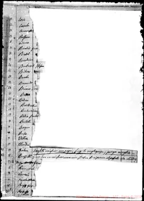 Fotogramma A 1