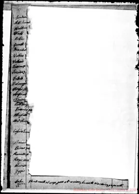 Fotogramma B 2