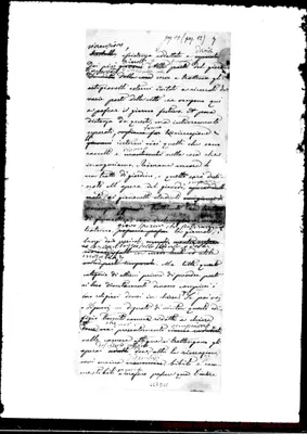 Fotogramma D 11