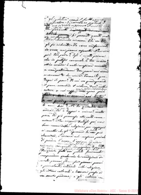 Fotogramma D 12