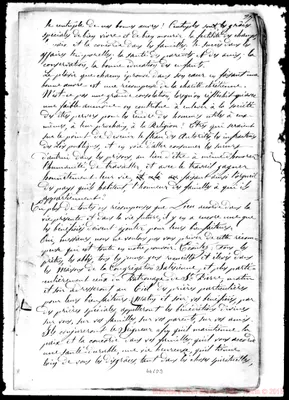 Fotogramma D 3