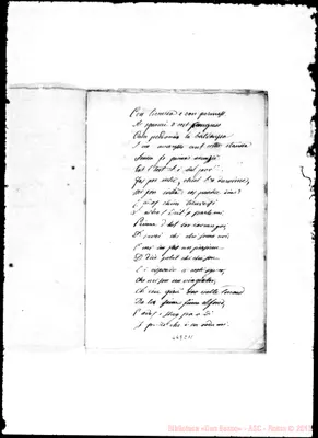 Fotogramma C 11