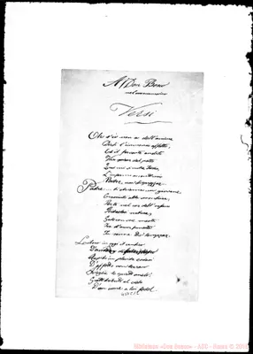 Fotogramma C 12
