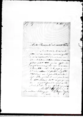 Fotogramma D 8