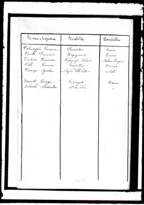 Fotogramma C 10