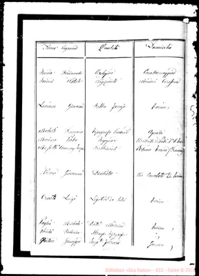 Fotogramma C 2