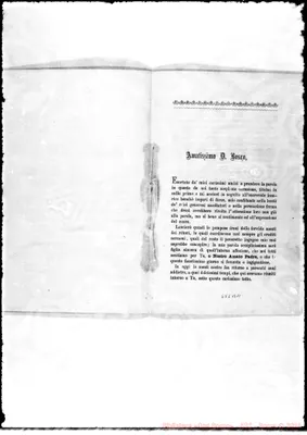Fotogramma B 11