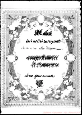 Fotogramma C 11