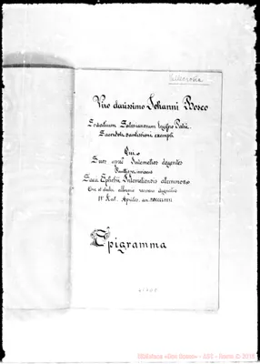 Fotogramma D 8