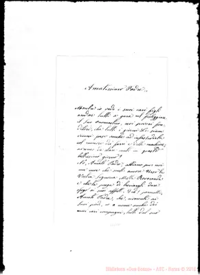 Fotogramma D 11