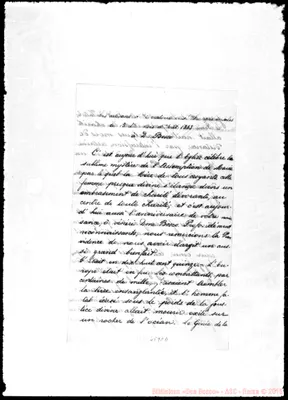 Fotogramma C 11
