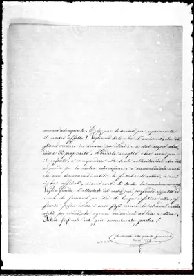 Fotogramma D 11