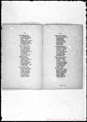 Fotogramma B 3