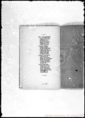 Fotogramma B 5