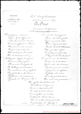 Fotogramma A 11