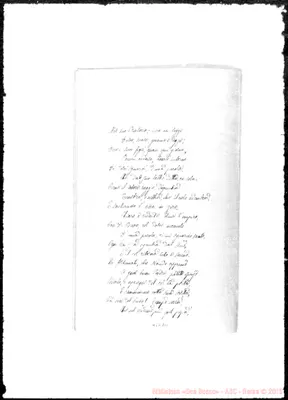 Fotogramma A 11
