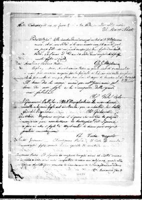 Fotogramma D 5