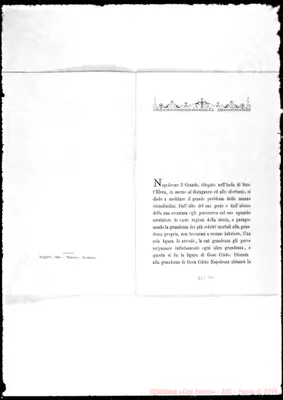 Fotogramma D 11