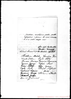 Fotogramma C 3