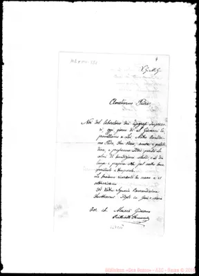 Fotogramma C 11