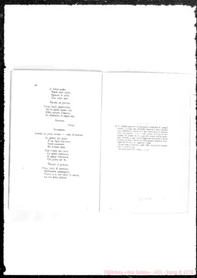 Fotogramma A 12