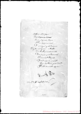 Fotogramma E 8