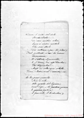 Fotogramma C 11