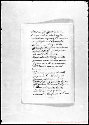 Fotogramma D 11
