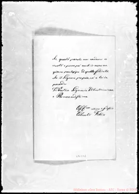Fotogramma D 12