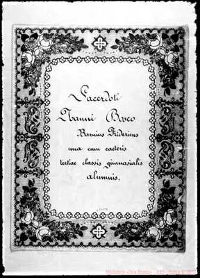 Fotogramma B 8