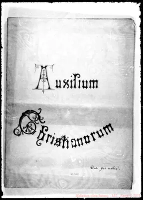 Fotogramma B 11