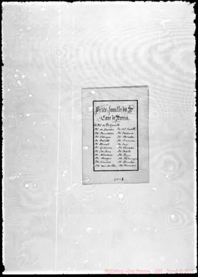 Fotogramma C 6