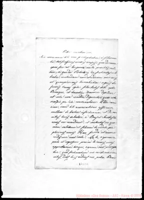 Fotogramma C 11