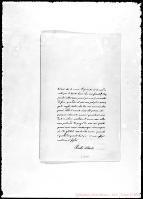 Fotogramma D 11