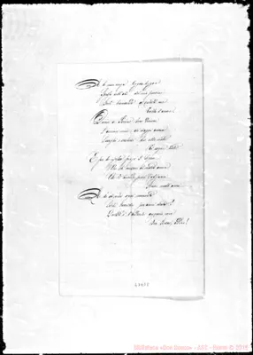 Fotogramma E 8