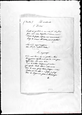 Fotogramma C 1