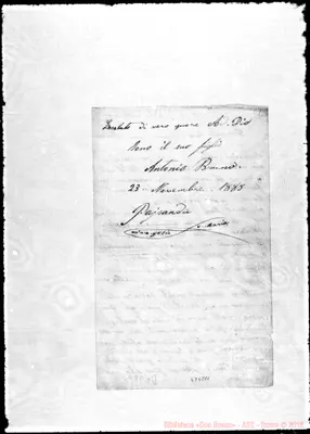 Fotogramma C 11