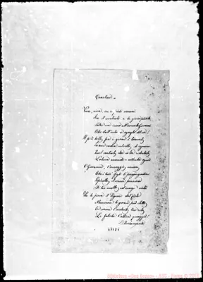 Fotogramma E 5