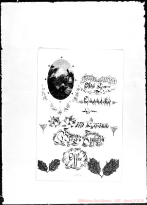 Fotogramma E 11