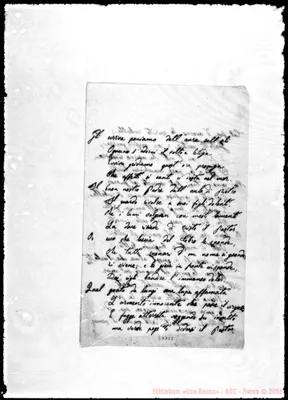 Fotogramma C 6